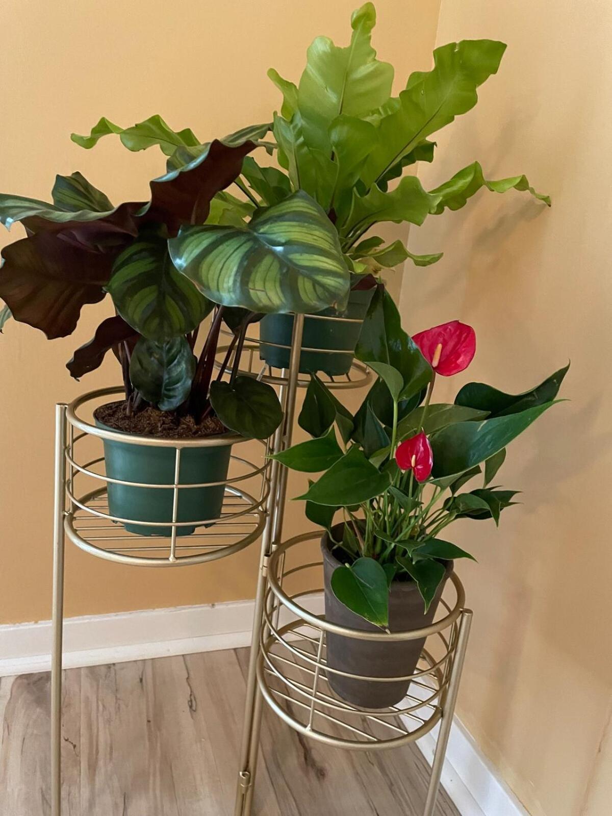 The Groves At Redway Beach - Studio Extérieur photo