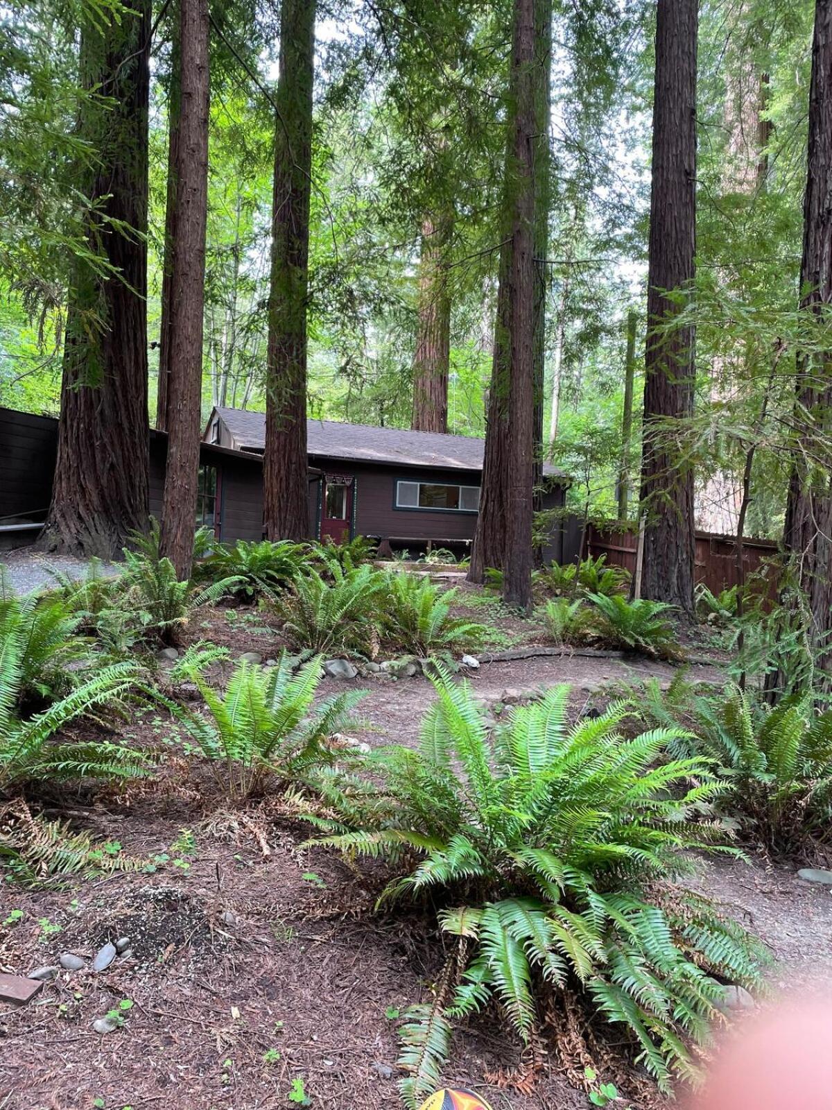 The Groves At Redway Beach - Studio Extérieur photo