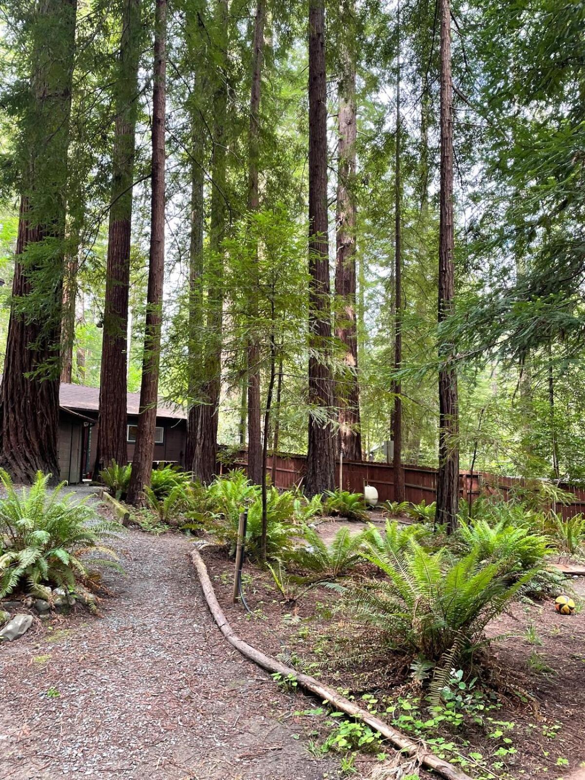 The Groves At Redway Beach - Studio Extérieur photo